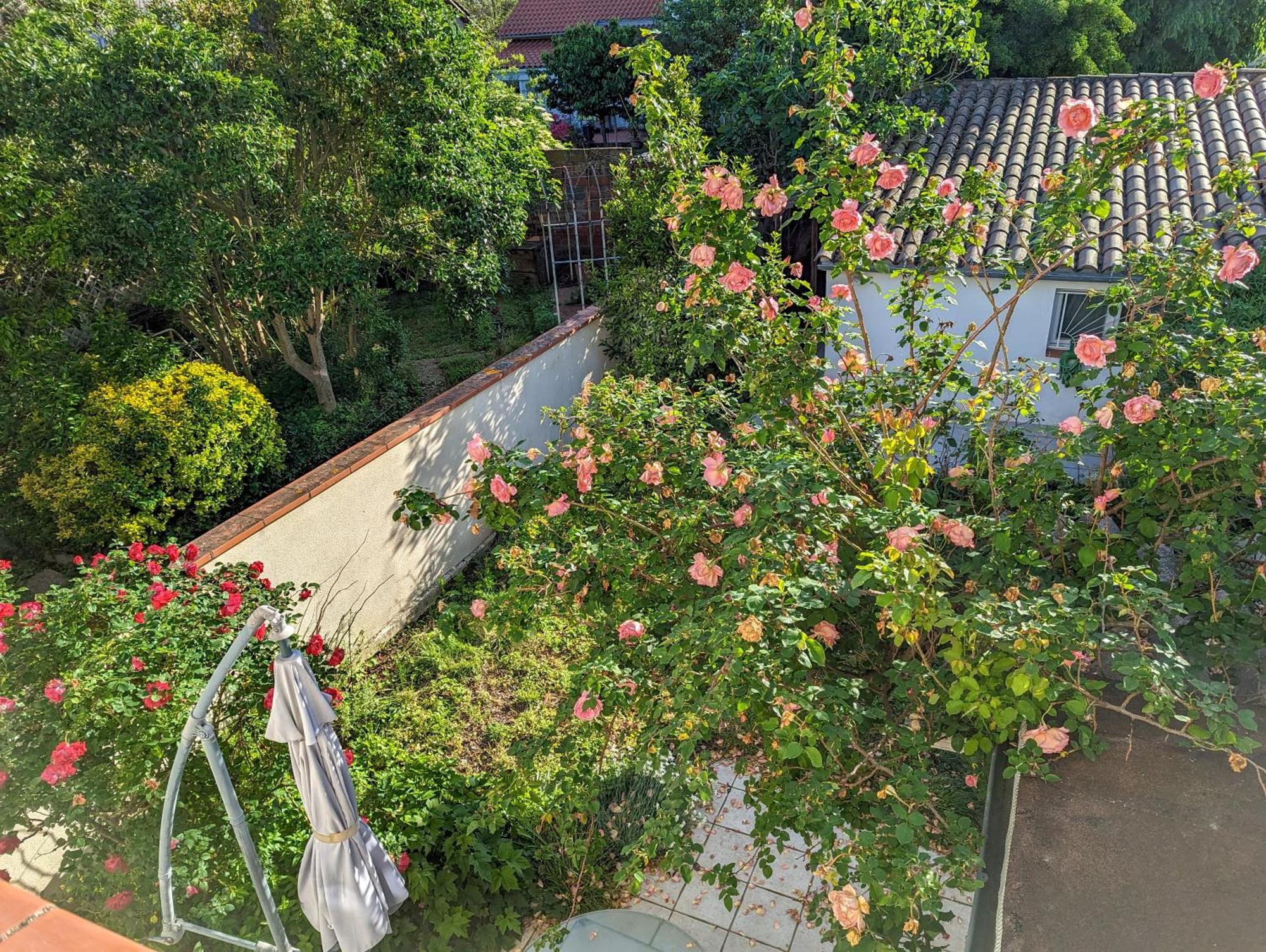La Maison Calme Et Lumineuse Avec Jardin Toulouse Exteriér fotografie